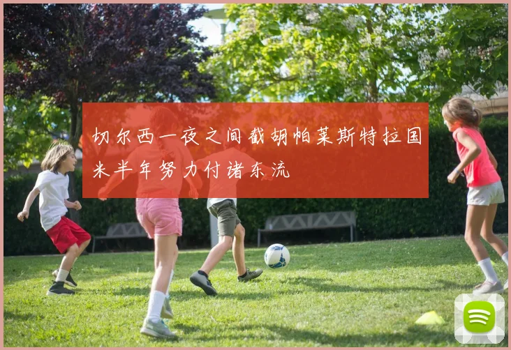 切尔西一夜之间截胡帕莱斯特拉国米半年努力付诸东流