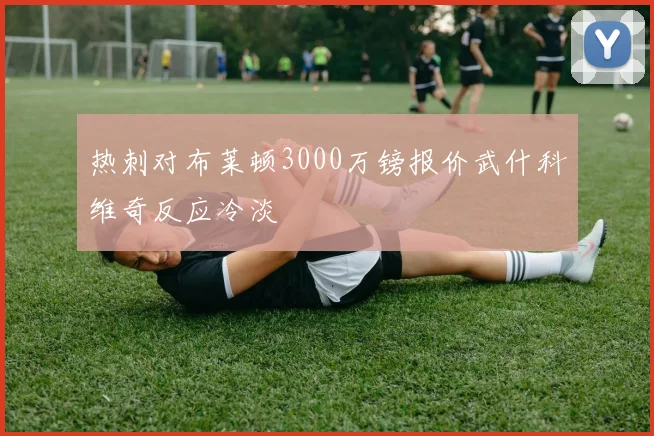 热刺对布莱顿3000万镑报价武什科维奇反应冷淡
